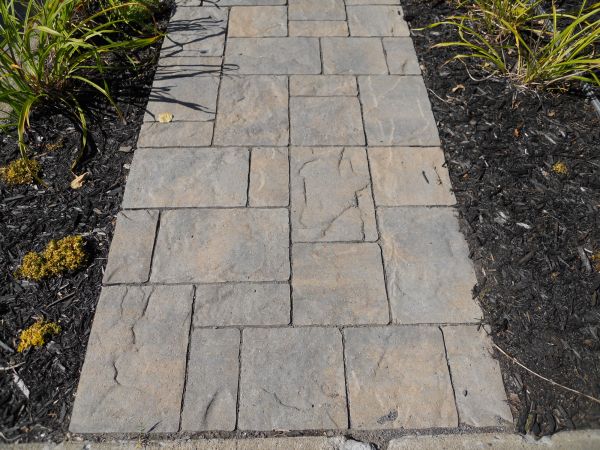 Stamped Concrete Staining in Champaign